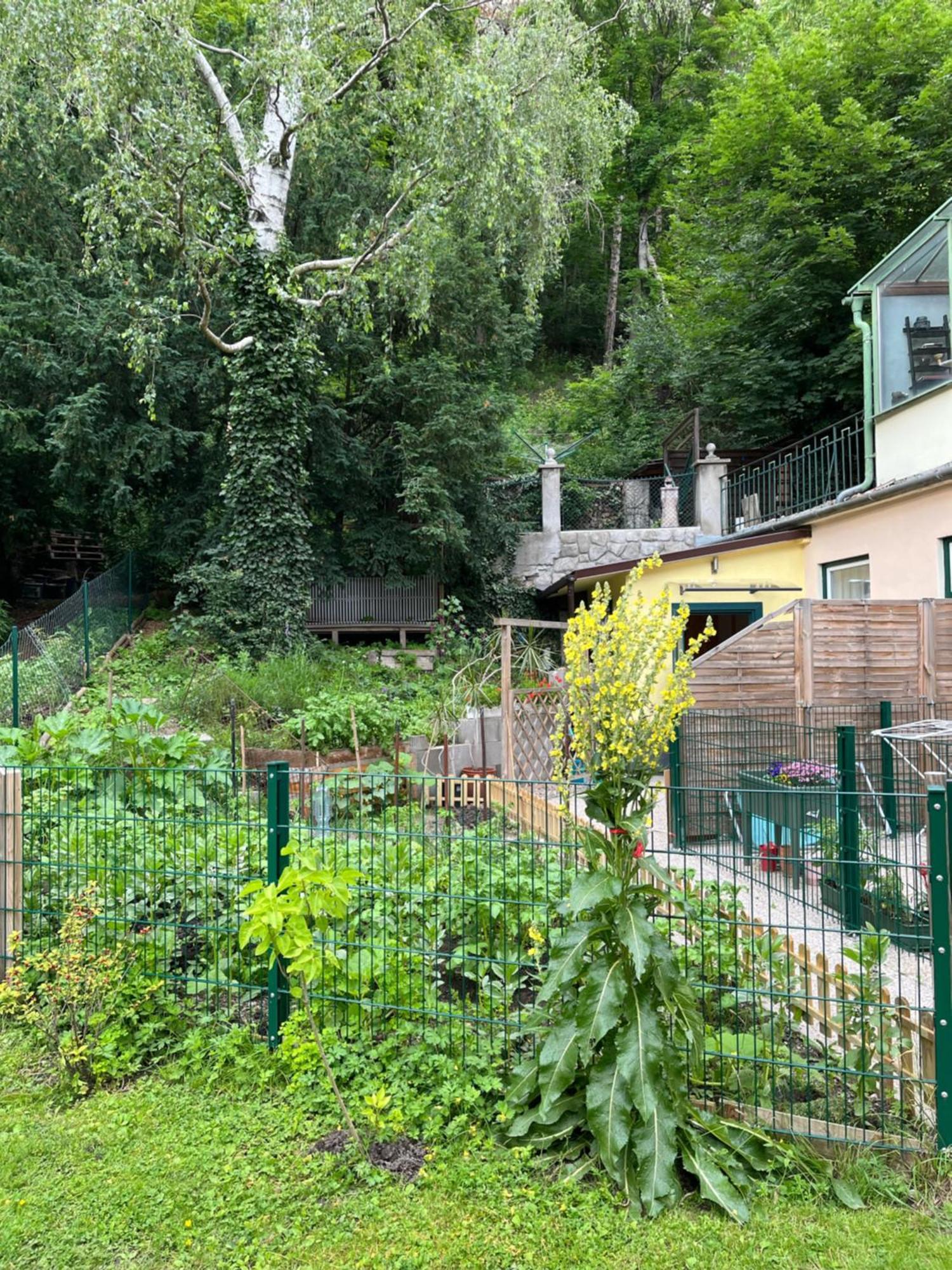 Schoene Wohnung Im Helenental Baden Exterior foto